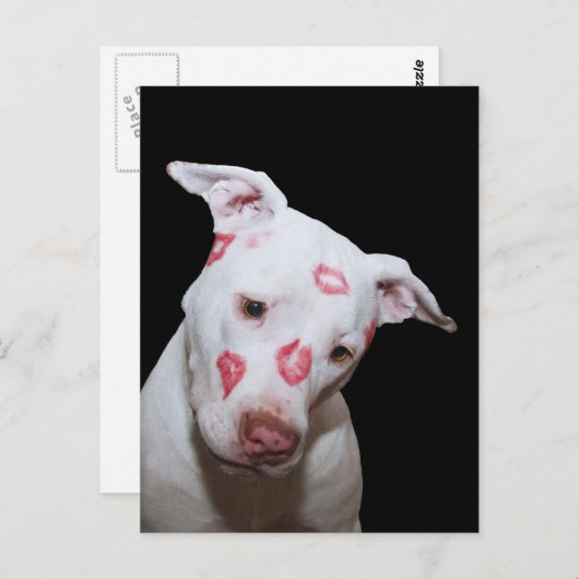 Carte Postale Chien blanc amoureux, Scellé avec baisers en bâton (Devant / Derrière)