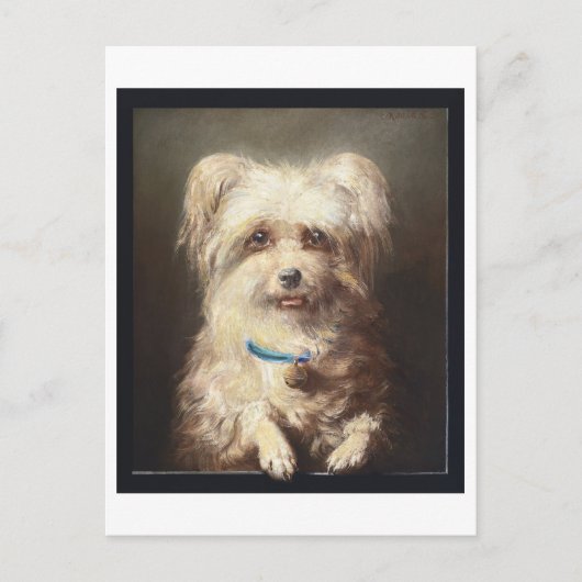 Carte Postale Chien blanc avec collier bleu Vintage (Devant)