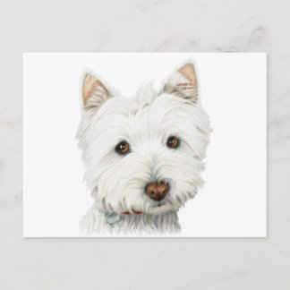Carte Postale Chien blanc de Terrier de West Highland