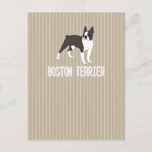 Carte Postale chien-Boston Terrier (Devant)