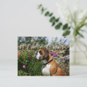 Carte Postale Chien Boxer dans les Fleurs (Debout devant)