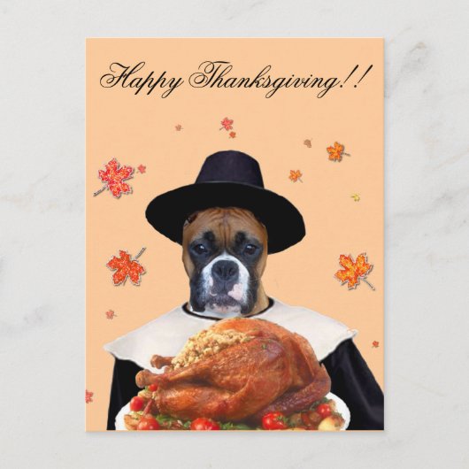 Carte postale chien boxeur Thanksgiving (Devant)