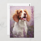 Carte Postale Chien breton en Lavender (Devant / Derrière)