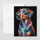 Carte Postale Chien Brown Crystal (Devant / Derrière)