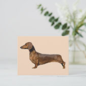 Carte Postale Chien Brown mignon Dachshund (Debout devant)