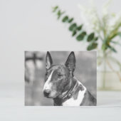 Carte Postale Chien Bull Terrier (Debout devant)