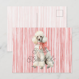 Carte Postale Chien Caniche Blanc Bonjour Beau