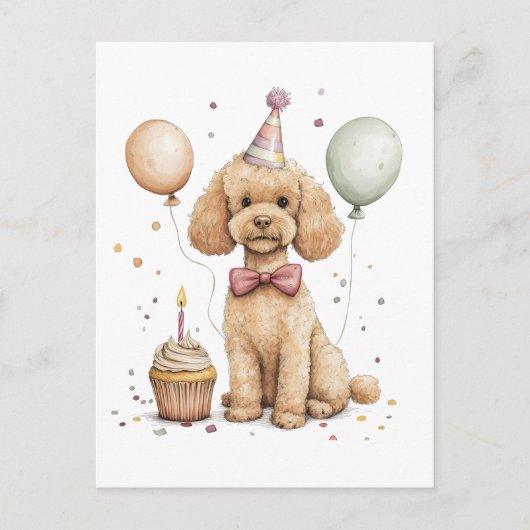Carte Postale Chien Caniche Standard de Naissance (Devant)