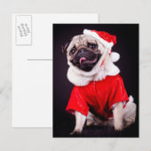 Carte Postale chien carlin (Devant / Derrière)