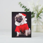 Carte Postale chien carlin (Debout devant)