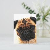 Carte Postale chien carlin (Debout devant)