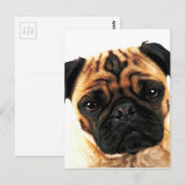 Carte Postale chien carlin (Devant / Derrière)