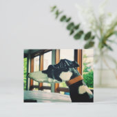 Carte Postale Chien carrousel (Debout devant)