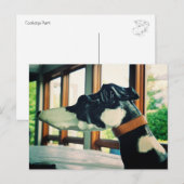 Carte Postale Chien carrousel (Devant / Derrière)