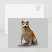 CARTE POSTALE CHIEN CHALEUREUX (Devant / Derrière)