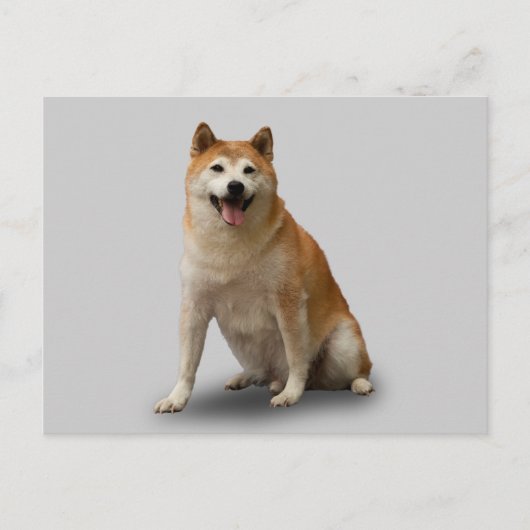 CARTE POSTALE CHIEN CHALEUREUX (Devant)