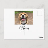 Carte Postale Chien chat photo ajouter le nom de l'animal de com (Dos)