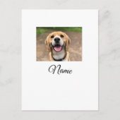 Carte Postale Chien chat photo ajouter le nom de l'animal de com (Devant)