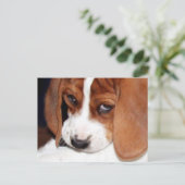 Carte Postale Chien chatte mignon (Debout devant)