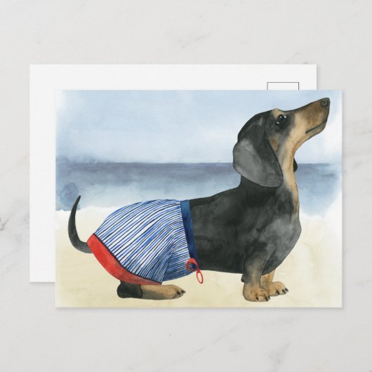 Carte Postale Chien chaud | Chiot Dans Les Troncs De Baignade (Devant / Derrière)