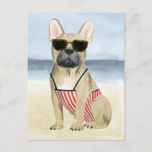 Carte Postale Chien chaud   Chiot En Lunettes De Soleil À La Pla