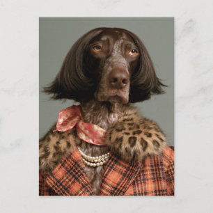 Carte Postale Chien Chic Fashionista en Carreaux Vintage