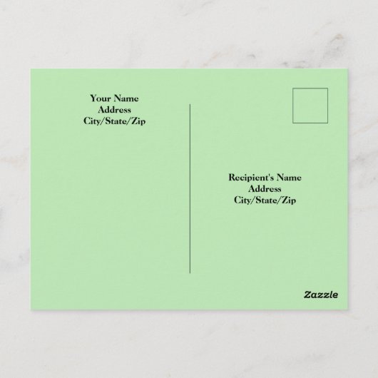 Carte Postale Chien Chien Chien Chien Blanc Doux Et Doux, Accroc (Dos)