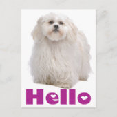 Carte postale Chien Chien Chien Chien Chien Chien  (Devant)