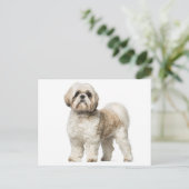 Carte Postale Chien Chien Chien Chien Chien Chien Chien Blanc Et (Debout devant)