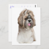 Carte Postale Chien Chien Chien Chien Chien Chien Chien Chien Ch (Devant / Derrière)