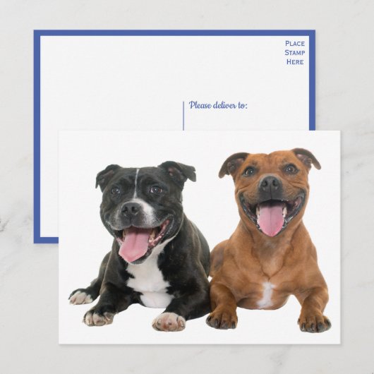 Carte Postale Chien Chien Chien Chien Chien Chien Chien Chien Ch (Devant / Derrière)