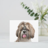 Carte Postale Chien Chien Chien Chien Chien Chien Chien Chien Ch (Debout devant)