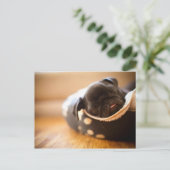 Carte Postale Chien Chien Chien Chien Chien Chien Chien Qui Dort (Debout devant)