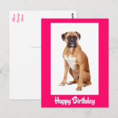 Carte postale Chien Chien Chien Chien Chien En Box (Devant / Derrière)