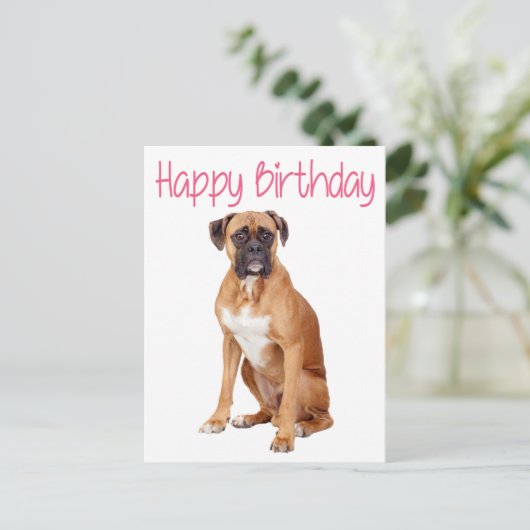 Carte postale Chien Chien Chien Chien Chien En Box (Debout devant)