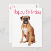 Carte postale Chien Chien Chien Chien Chien En Box (Devant / Derrière)