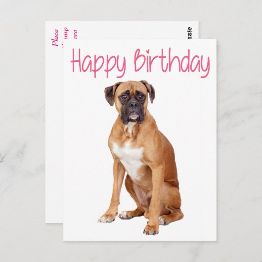 Carte postale Chien Chien Chien Chien Chien En Box (Devant / Derrière)