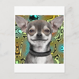 Carte Postale Chien Chihuahua souriant