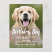 Carte Postale Chien chiot Anniversaire Soirée Animaux de compagn (Devant)