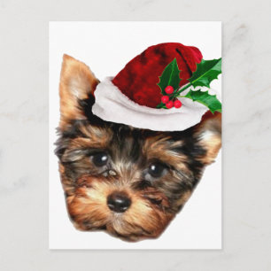 Carte Postale Chien chiot de Chrismtas Yorkshire Terrier