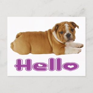 Carte Postale Chien chiot de taureau anglais - Bonjour Coeur pou