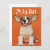Carte Postale Chien chiot Je suis tous des oreilles, mignon mème (Devant / Derrière)