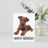 Carte Postale Chien chiot mignon Airedale Terrier Anniversaire (Debout devant)