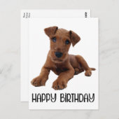 Carte Postale Chien chiot mignon Airedale Terrier Anniversaire (Devant / Derrière)
