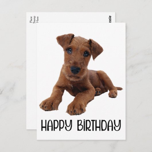 Carte Postale Chien chiot mignon Airedale Terrier Anniversaire (Devant / Derrière)