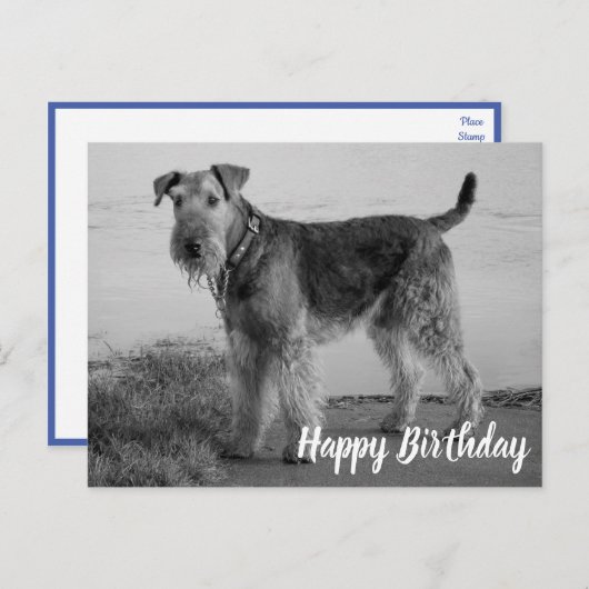 Carte Postale Chien chiot mignon Airedale Terrier Joyeux anniver (Devant / Derrière)