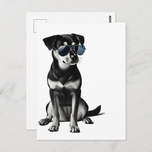 Carte Postale Chien cool avec lunettes de soleil (Devant / Derrière)