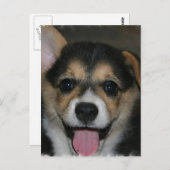Carte postale Chien Corgi (Devant / Derrière)
