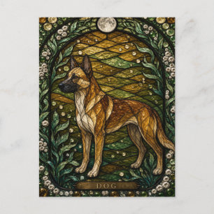 Carte Postale Chien Cottage Crépuscule Illumina Verre Cathédrale