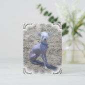 Carte postale Chien Crêché Chinois (Debout devant)